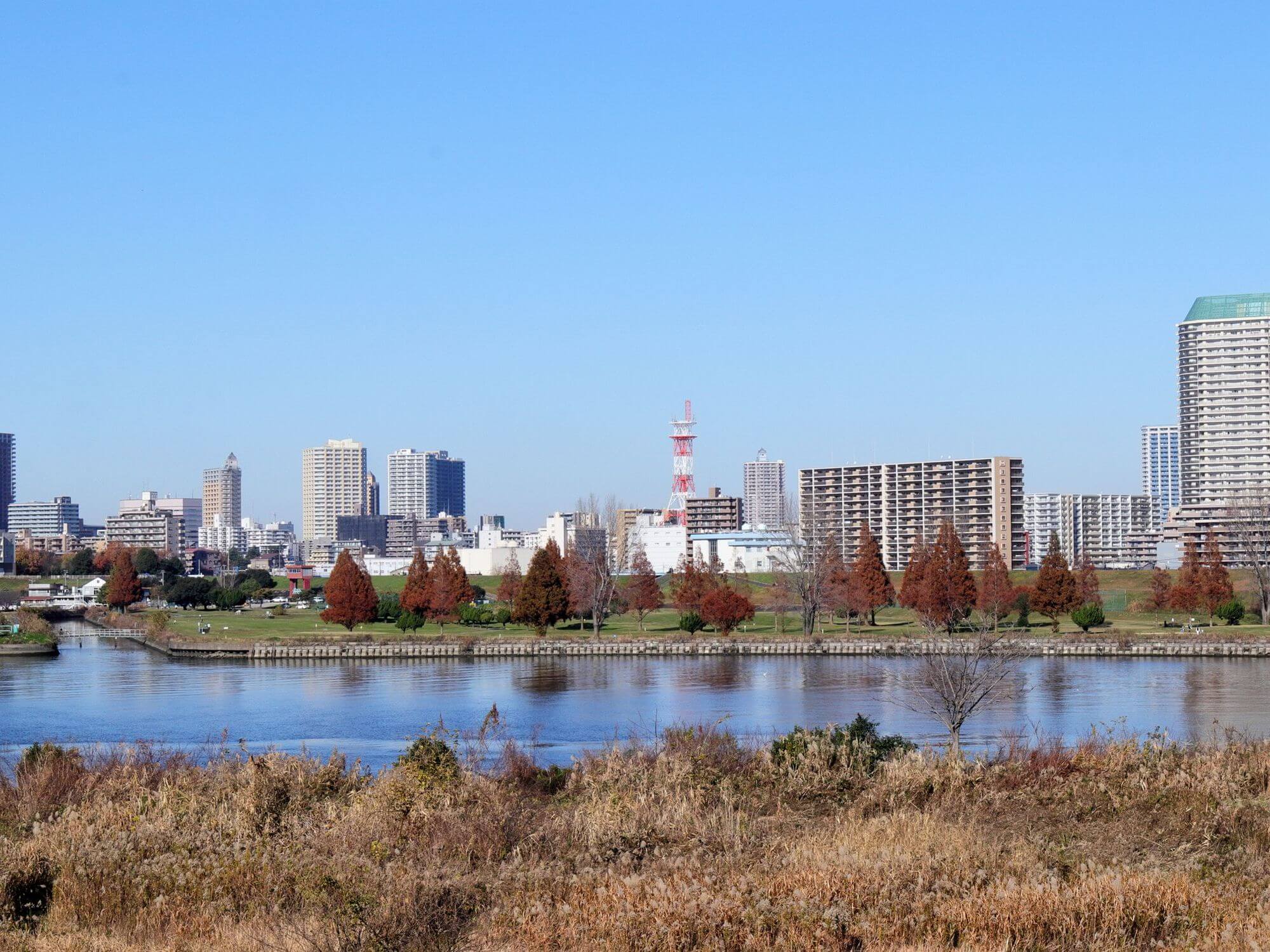 埼玉県ってどんな県？